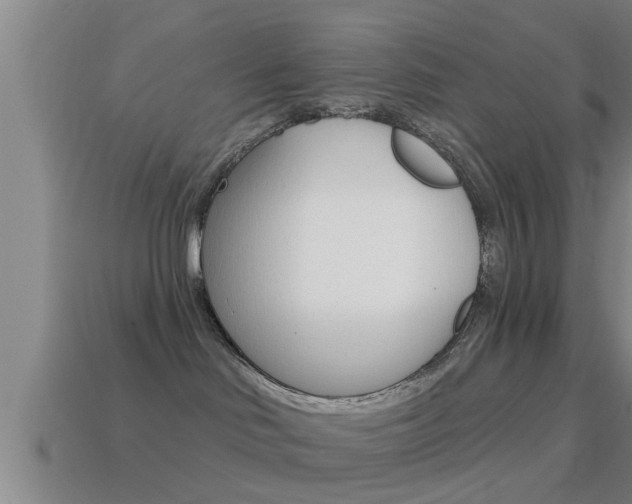 X0000114610046200910200950