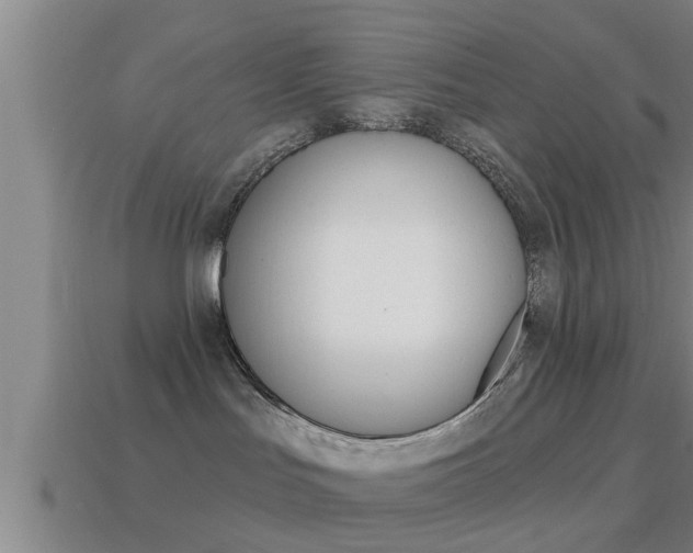 X0000114610047200910200950