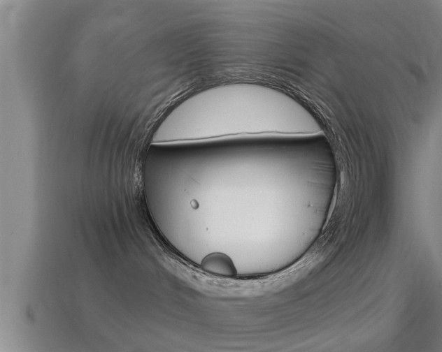 X0000114610048200910200950