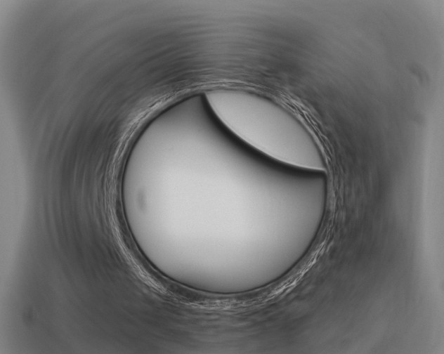 X0000114610049200910200949