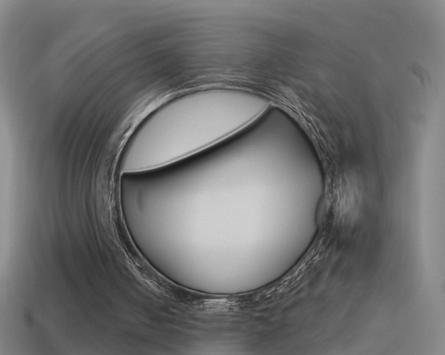 X0000114610050200910200949