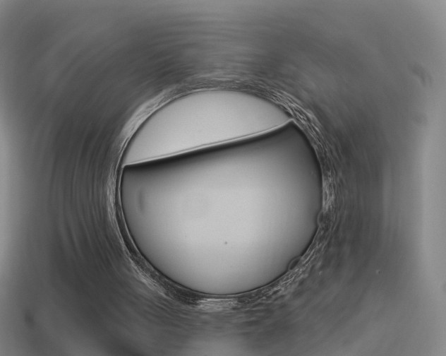 X0000114610051200910200949