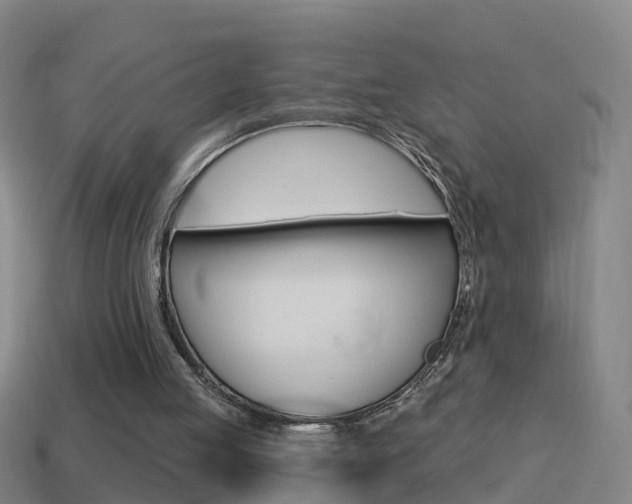 X0000114610053200910200949