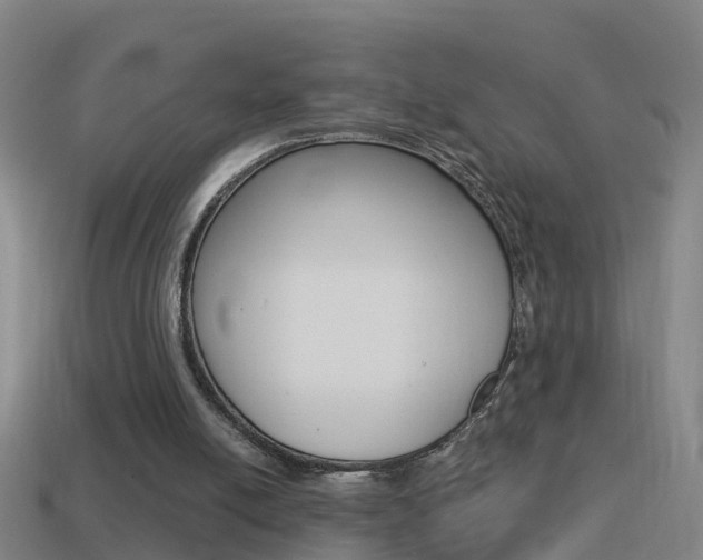 X0000114610054200910200949