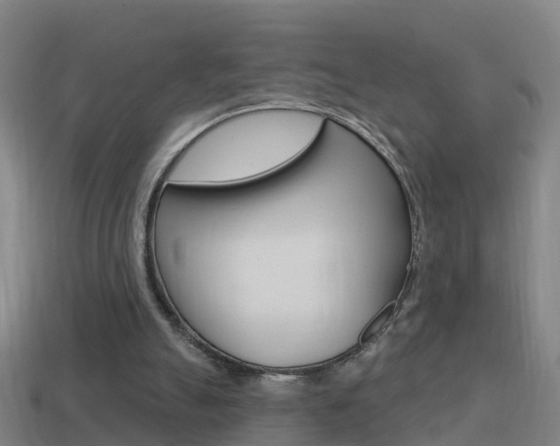 X0000114610055200910200949