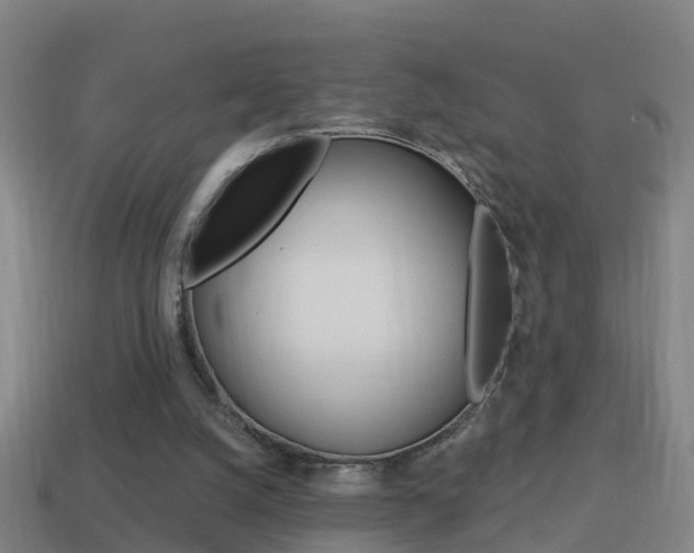 X0000114610056200910200949