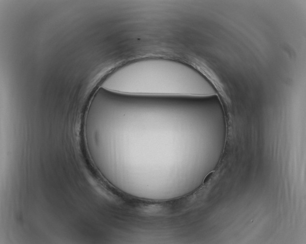 X0000114610058200910200949