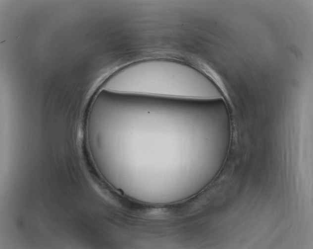 X0000114610059200910200949