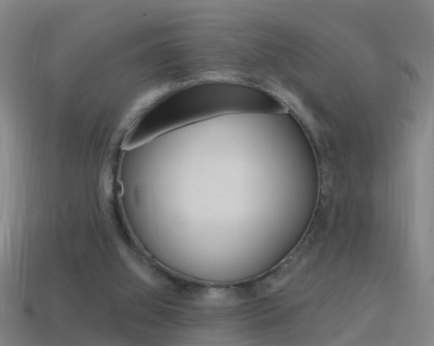 X0000114610060200910200949