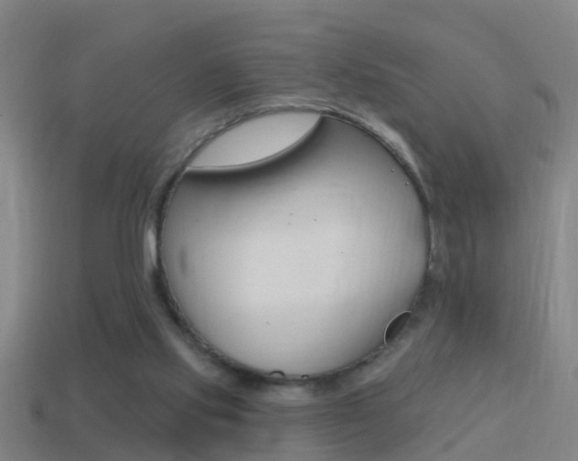 X0000114610061200910200949