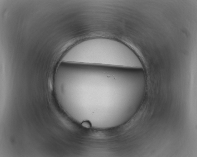 X0000114610062200910200949