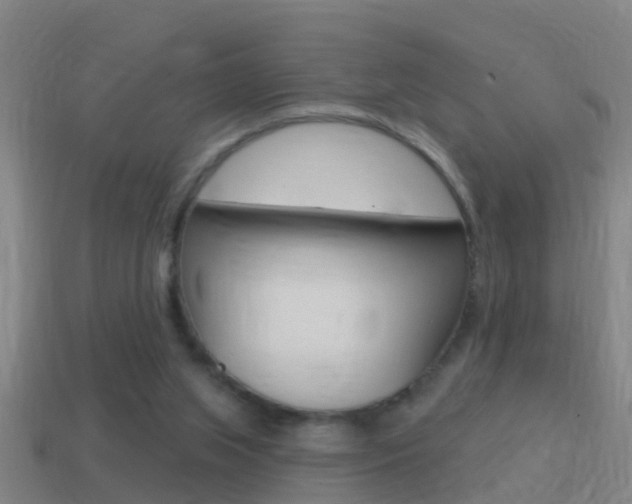 X0000114610063200910200949