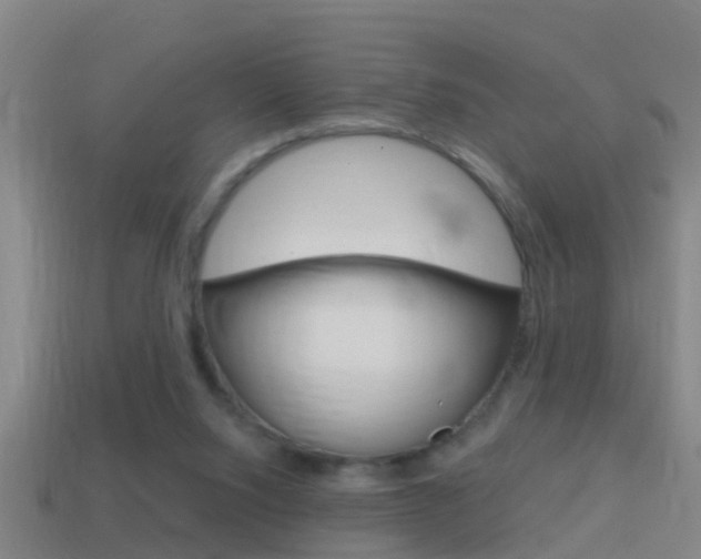 X0000114610064200910200949