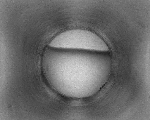 X0000114610066200910200949