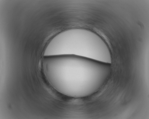 X0000114610067200910200949