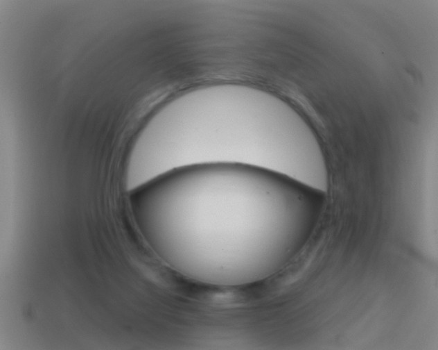 X0000114610068200910200949