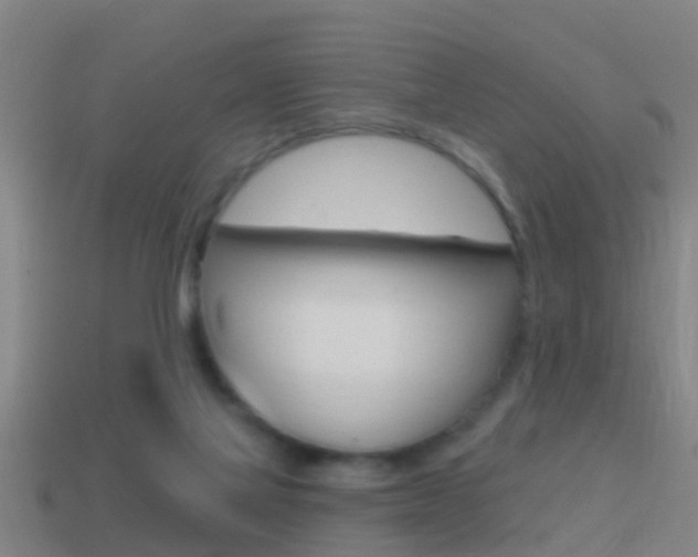 X0000114610069200910200949
