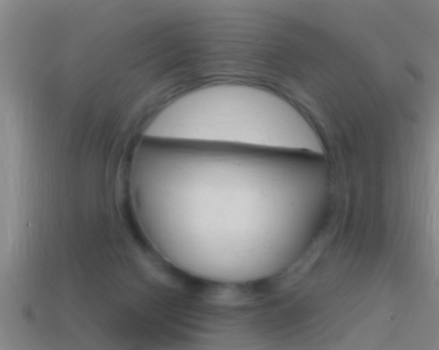 X0000114610074200910200949