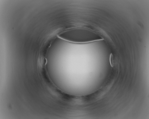 X0000114610076200910200949