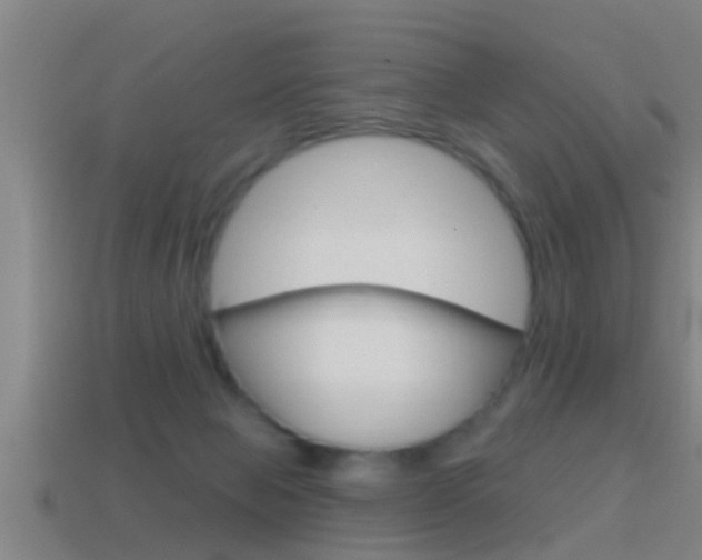 X0000114610077200910200949