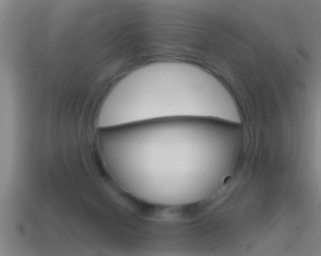 X0000114610078200910200949