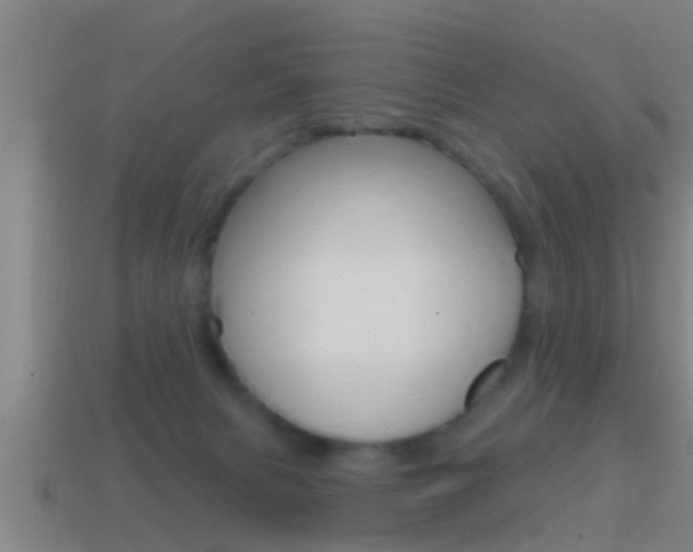 X0000114610079200910200949