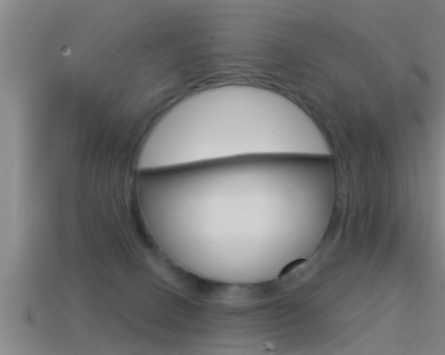 X0000114610082200910200949