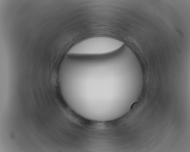 X0000114610083200910200949