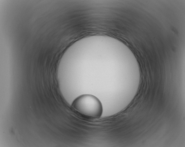 X0000114610084200910200949