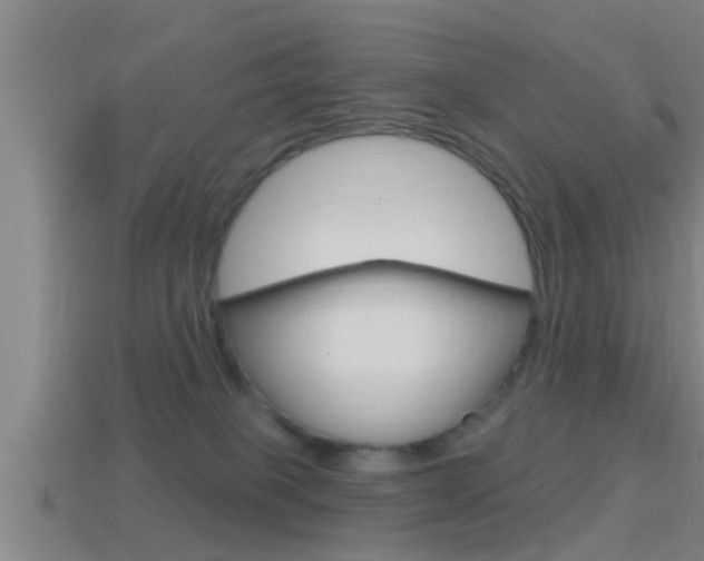 X0000114610085200910200949