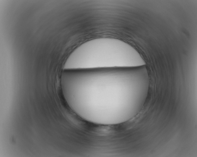 X0000114610086200910200949