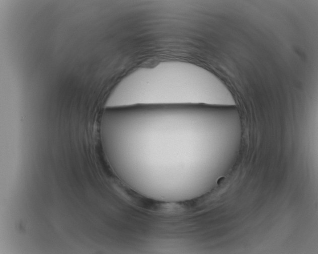 X0000114610087200910200949