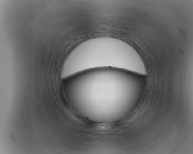 X0000114610088200910200949