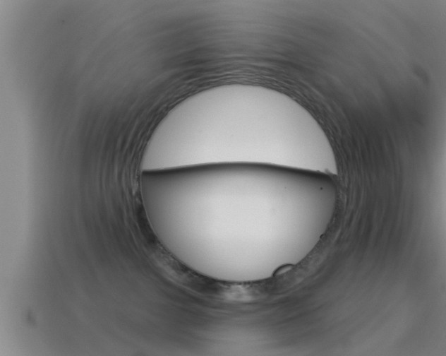 X0000114610091200910200949