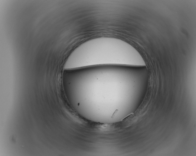 X0000114610092200910200950