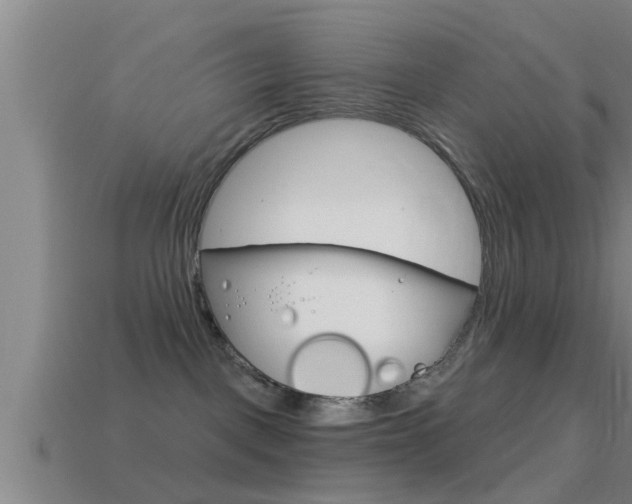 X0000114610093200910200950