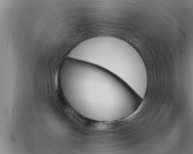 X0000114610094200910200950