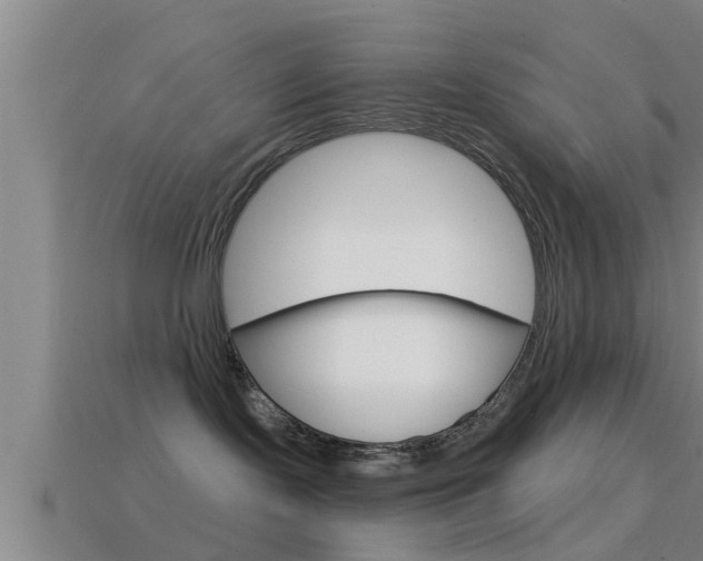 X0000114610095200910200950