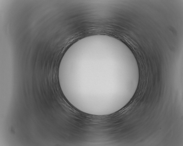 X0000114610096200910200950