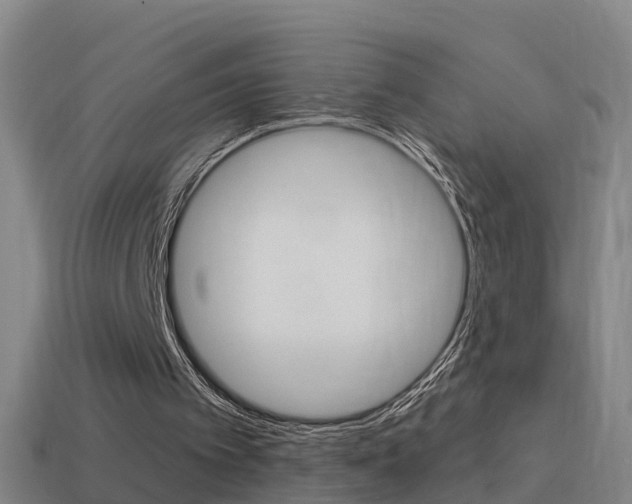 X0000114610097200910200949