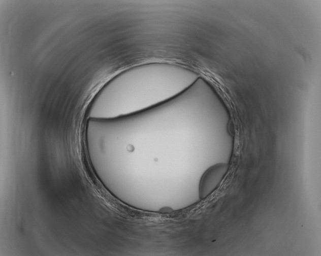 X0000114610098200910200949