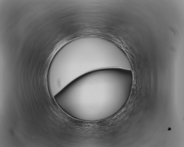 X0000114610099200910200949