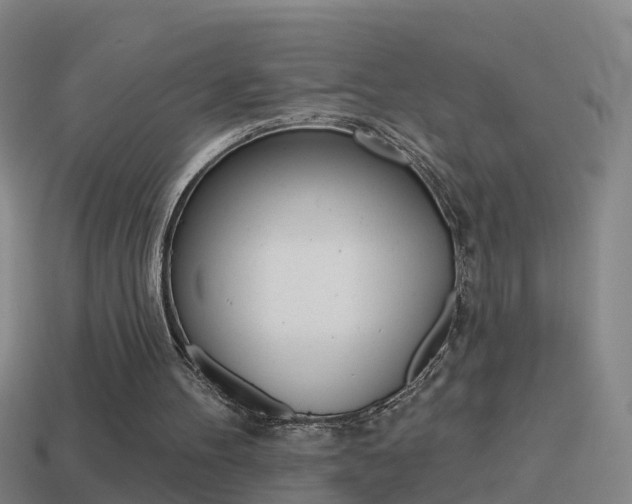 X0000114610100200910200949