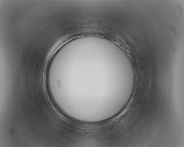 X0000114610101200910200949