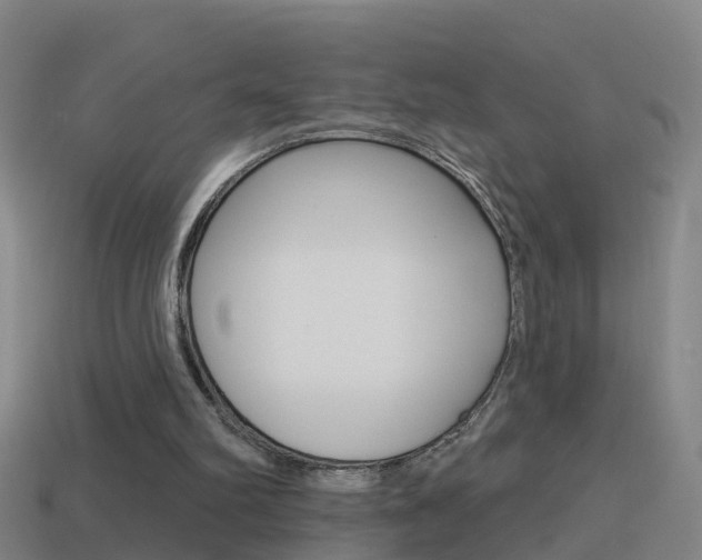 X0000114610102200910200949