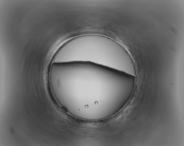 X0000114610103200910200949