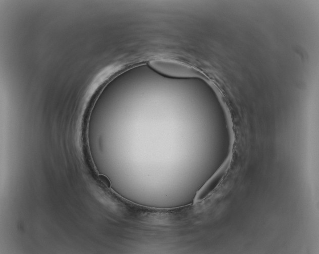 X0000114610104200910200949