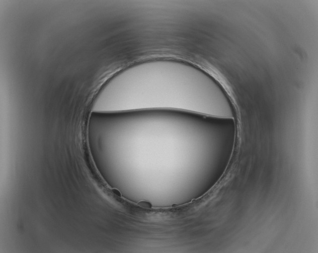 X0000114610105200910200949