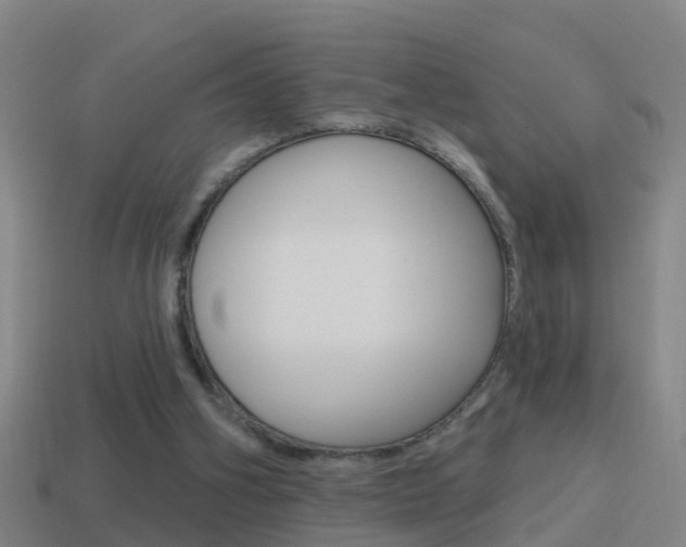 X0000114610106200910200949