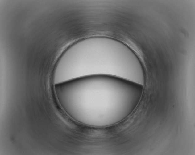 X0000114610107200910200949